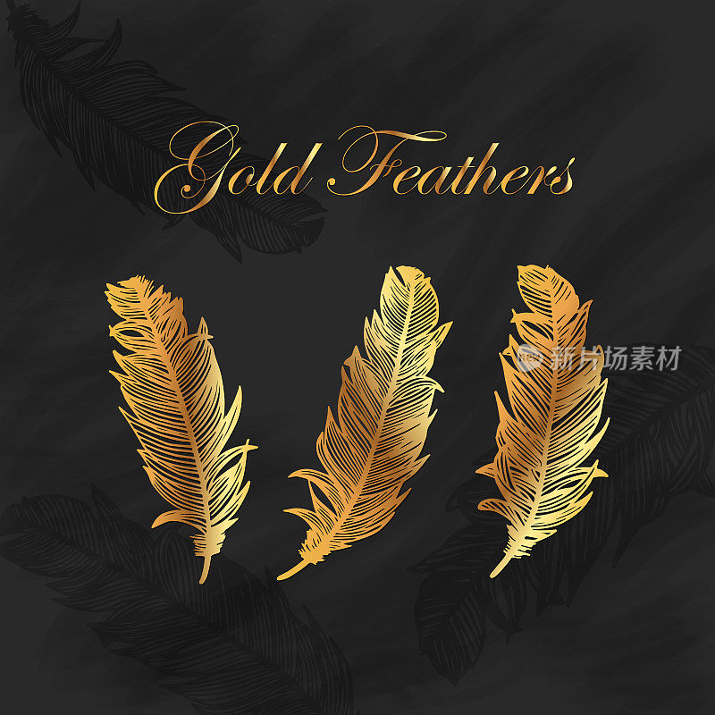 Gold Feathers Collection with Blackboard Background. Design Element for Greeting Cards and Wedding, Birthday and other Holiday and Summer Invitation Cards Background.